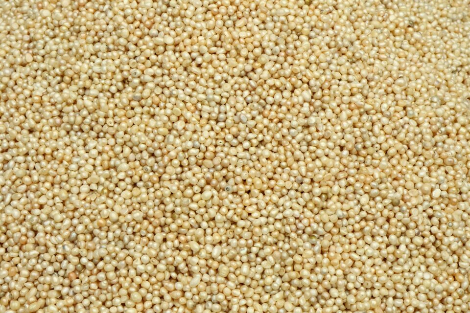 Freshwater pearls beads mother of pearl