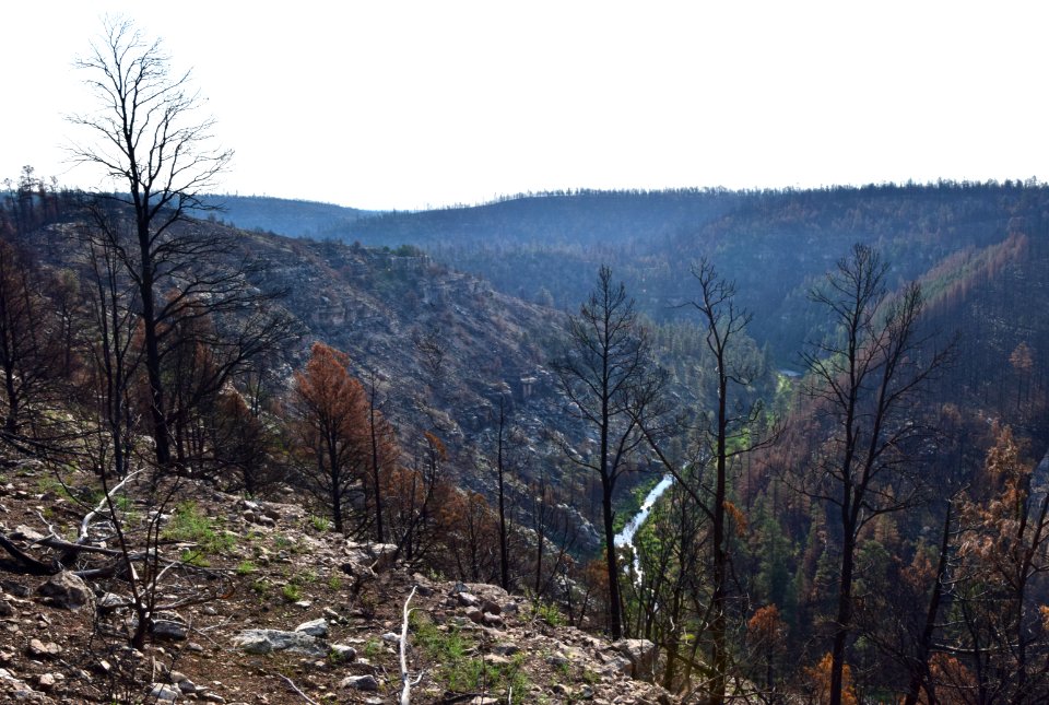 Tinder Fire Burn Scar Area