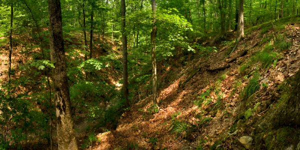 Huckleberry Ridge