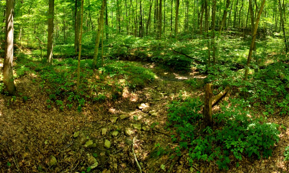 McCormick's Creek State Park