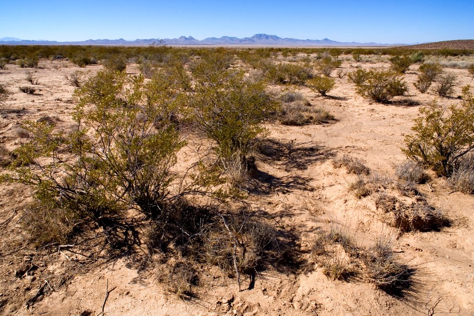 Between Lordsburg and Lordsburg Playa