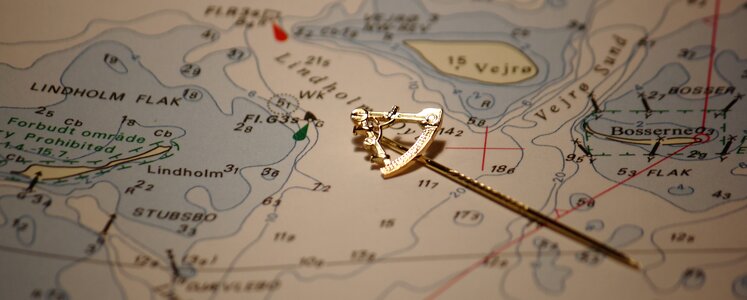 Sextant reversnål gold
