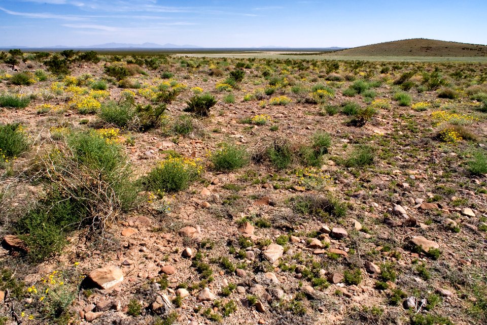 East side of Aden Hills
