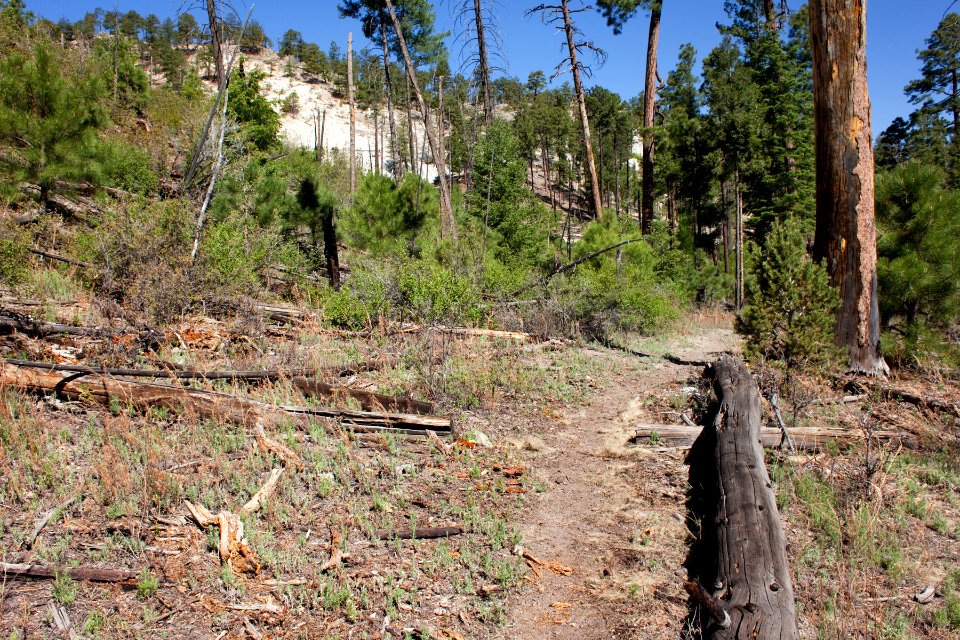 Continental Divide Trail