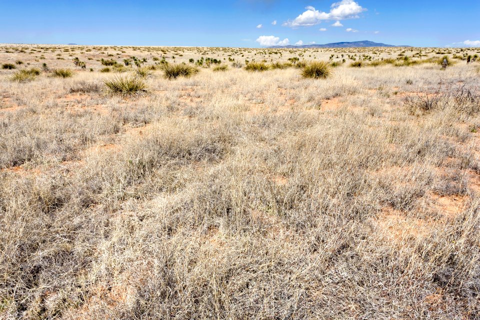 Near Flat Canyon