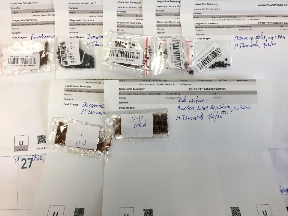 20200730-USDA-PPQ-Unsolicited seed labels1.jpg
