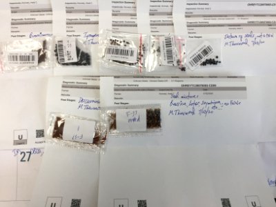 20200730-USDA-PPQ-Unsolicited seed labels1.jpg