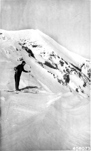 Humphrey Saddle - 1941