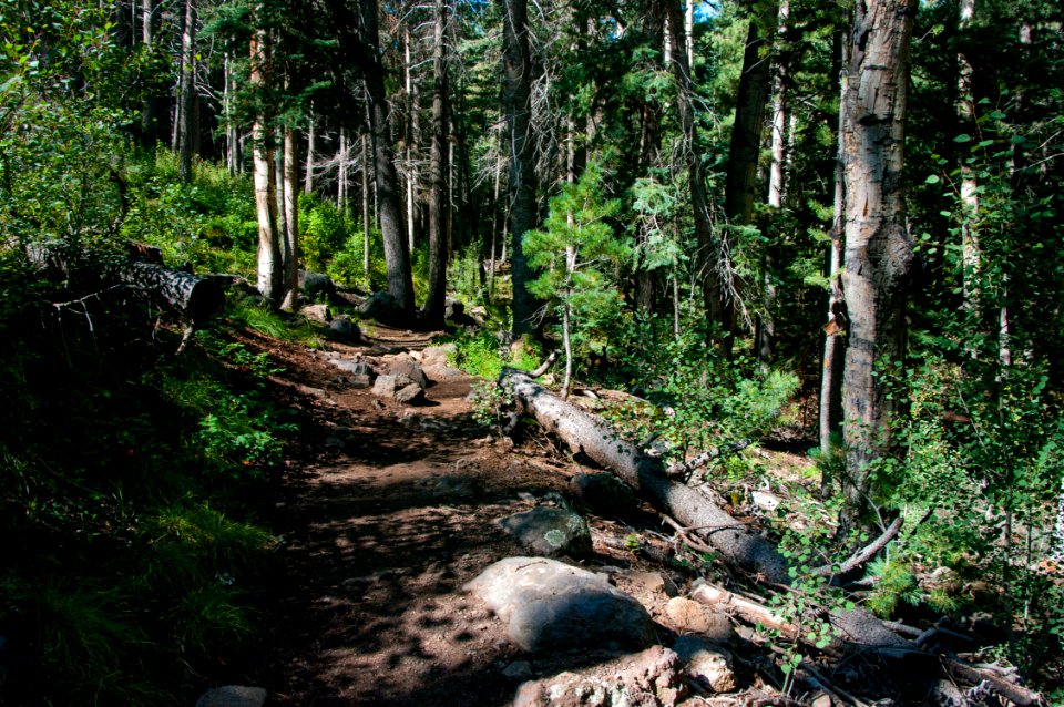 Inner Basin Trail
