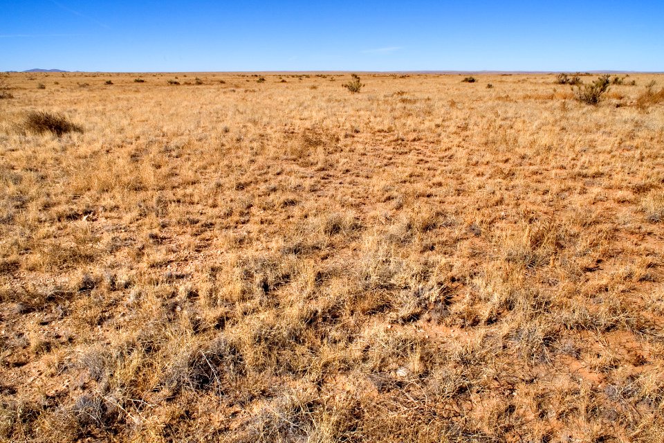 Southern Otero Mesa