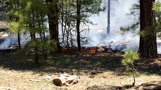 Cowboy Fire (May 23, 2016)
