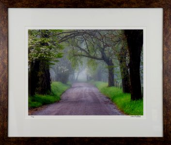 318 | Van Pulley | Nature's Archway | Photography | 20x24