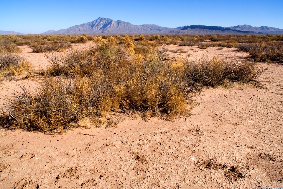 East side of Playas Valley