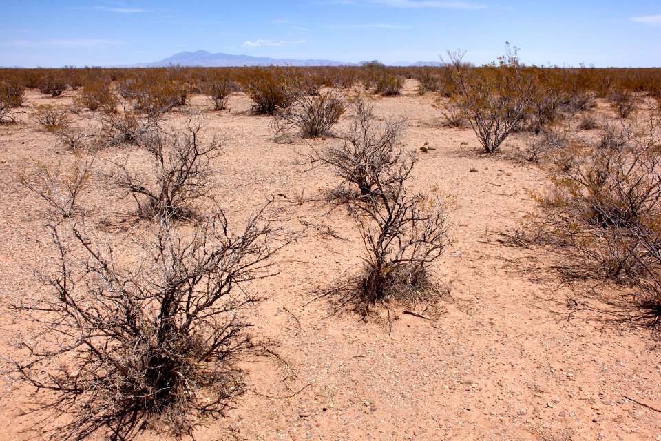 Mesa south of Cuchillo Negro Creek