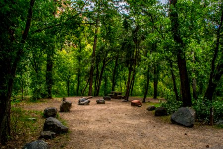 Cave Springs Campground