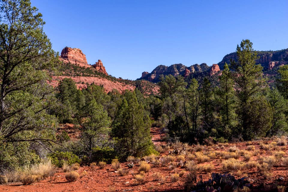 Turkey Creek Trail