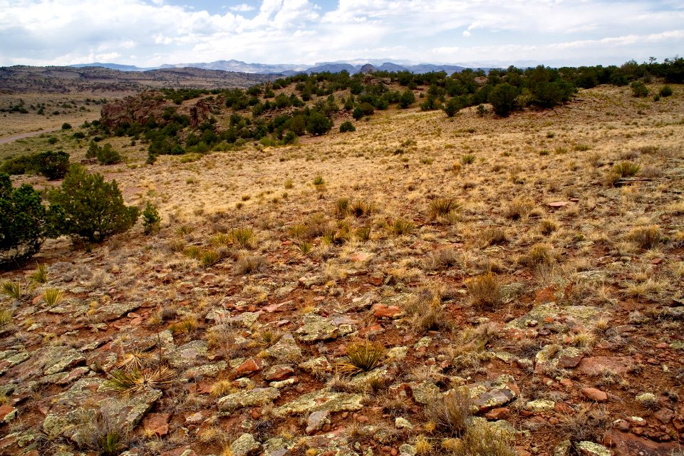 South of Del Norte