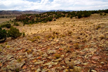 South of Del Norte
