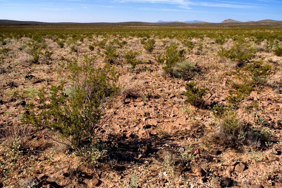 Southeastern edge of the Goodsight Mountains