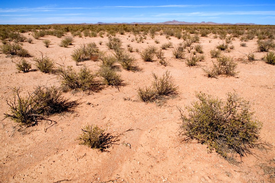 East-northeast of Animas