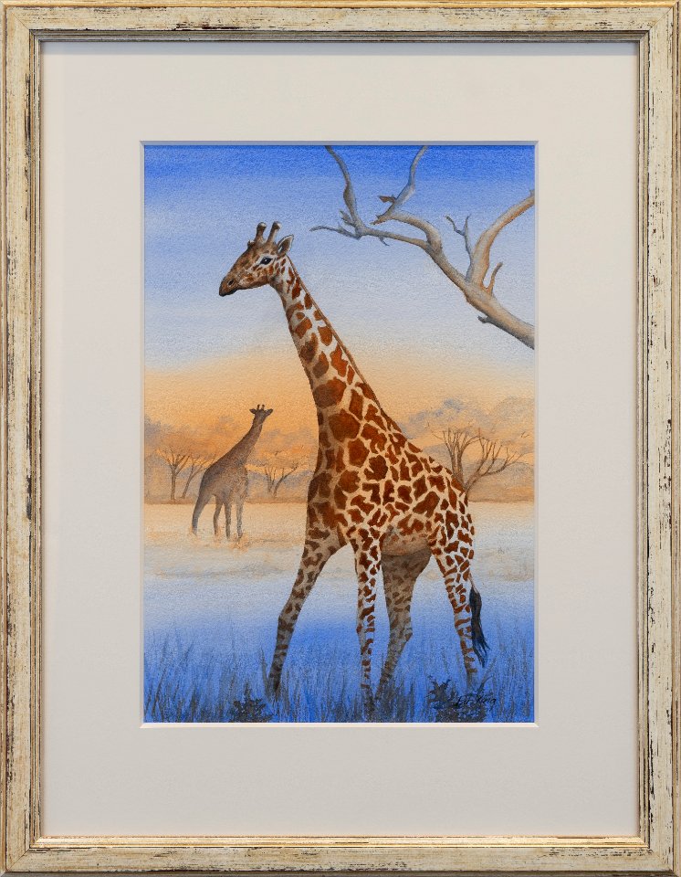 544 | Patricia King | Serengeti | Watercolor | 26x20
