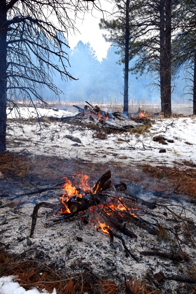 Pile Burn