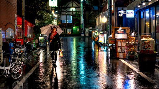 Shadow in the Rain II