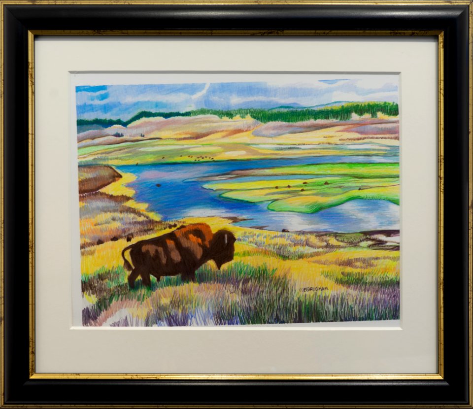 483 | Betty Grisham | Lone Bison | Colored Pencil | 20.5x23.75