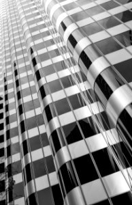 Vertical Lines I