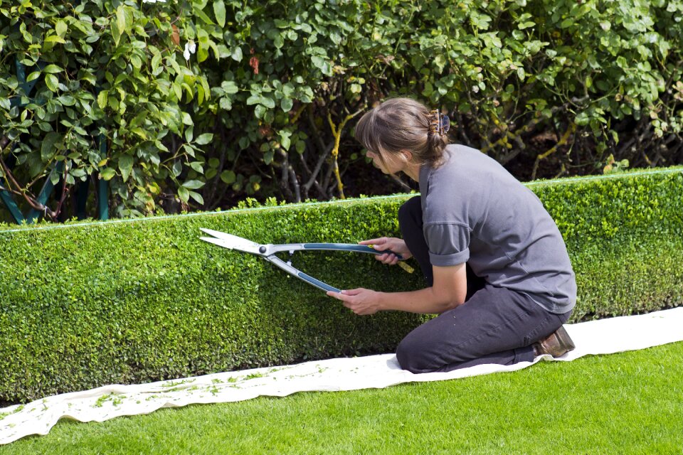 Trimming rhs hyde hall green box