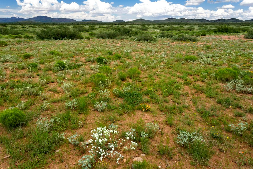 Near Bull Creek