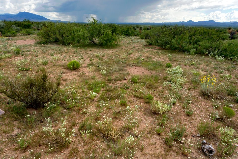 Near Bull Creek