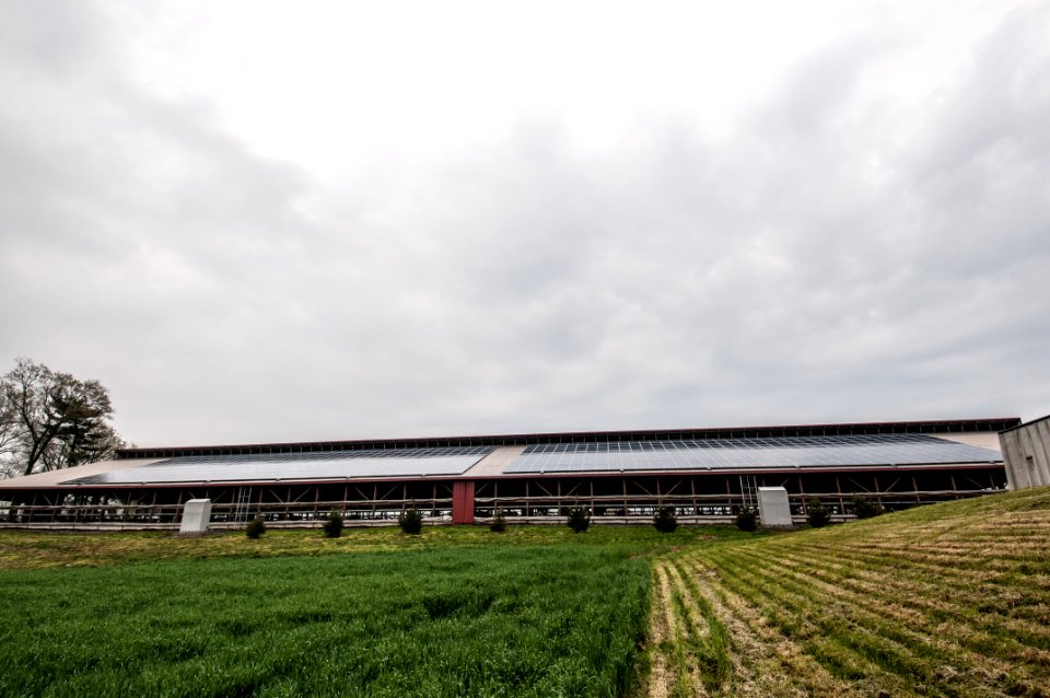 20110419-RD-LSC-0698