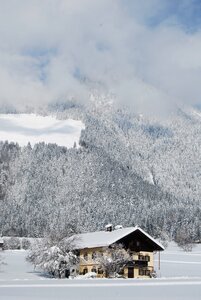 Forest clouds chalet