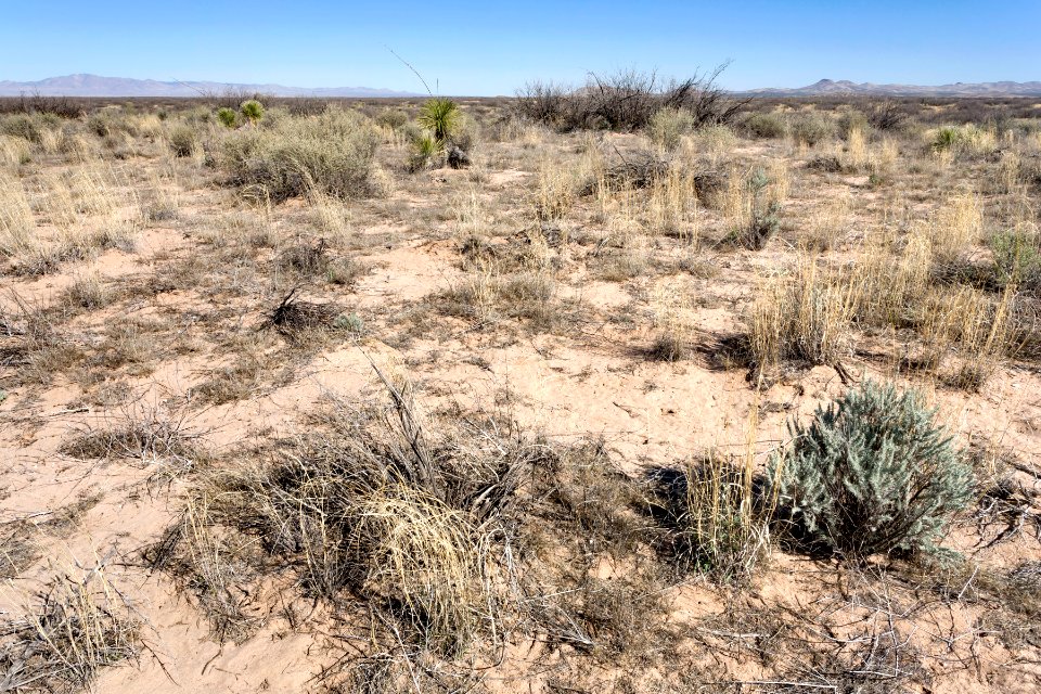 Northeast of Lordsburg Playa