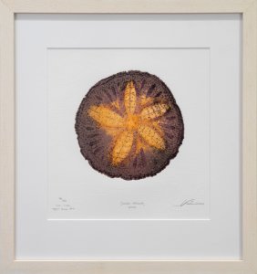 185 | Matthew Smith | Sand Dollar | Printmaking | 15x14