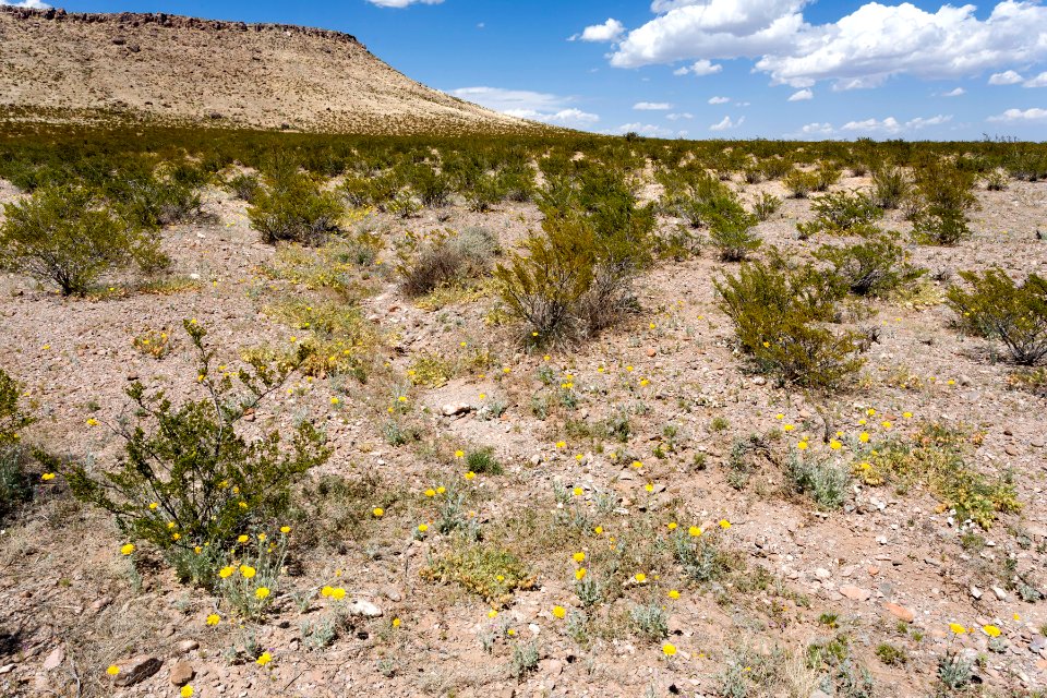 Near Apache Flats