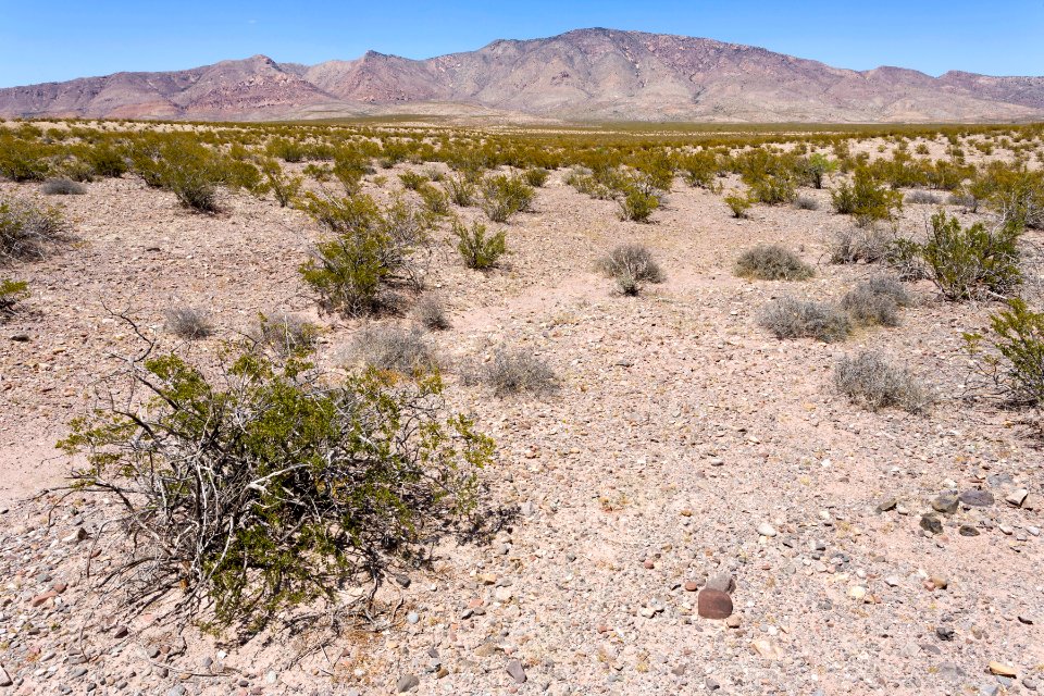 Near the Pony Hills