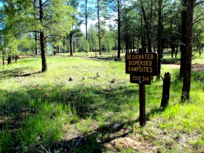 Pumphouse Wash (FR 237) Camping Loop 3