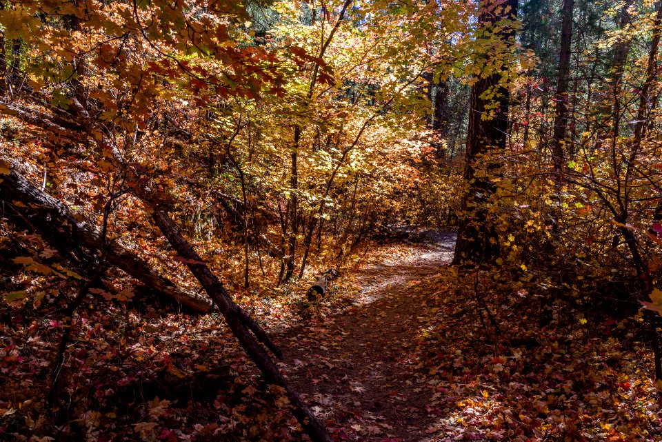 West Fork (October 24, 2017)