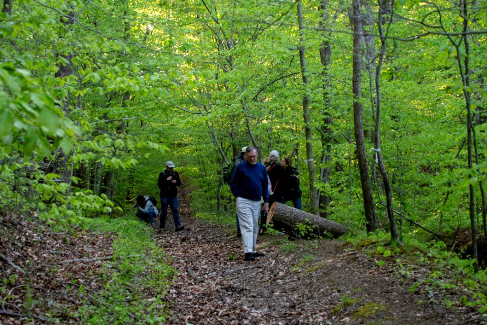 2019 Walk for the Woods Bacon Ridge Natural Area 055