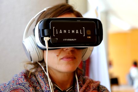 18/01/2018 - iAnimal en Minding Animals- CDMX