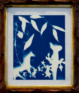 065 | Anthony Zaza | Pegasus + Elephant Boy | Cyanotype Print | 18x18