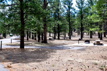 Bonito Campground