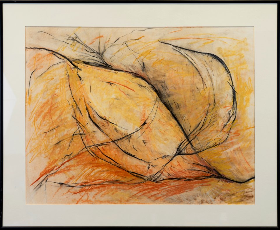 321 | Tamora Ilasat | Pod III | Pastel | 23x28