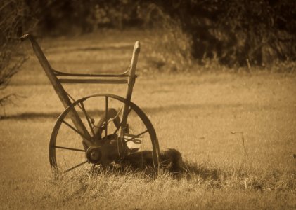 "Country Rustic" photo
