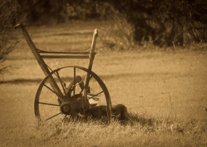 "Country Rustic"