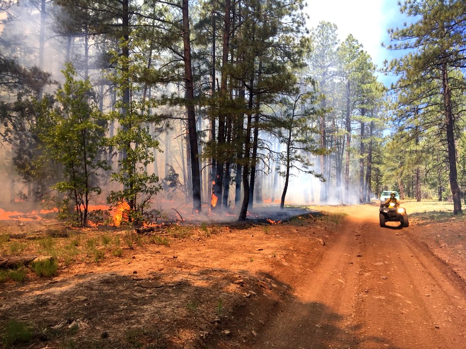 Snake Ridge Fire (May 25, 2017)