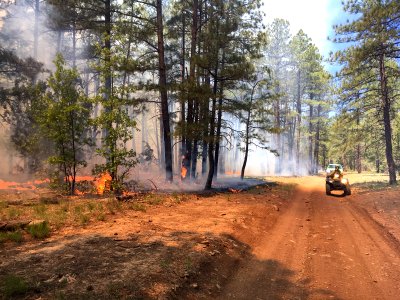 Snake Ridge Fire (May 25, 2017)