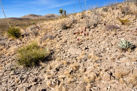 Northeastern Otero Mesa